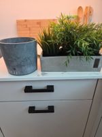Artificial Plants in Concrete Pot & Concrete Pot