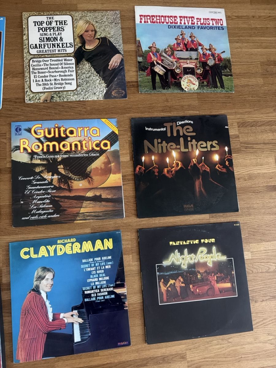 Schallplatten: Vinyl Schallplattensammlung 12Stk. – Gebraucht aus Buchs ZH von scarah
