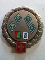 1 Militär Anhänger Abzeichen Badge Uniform Beret Emblem