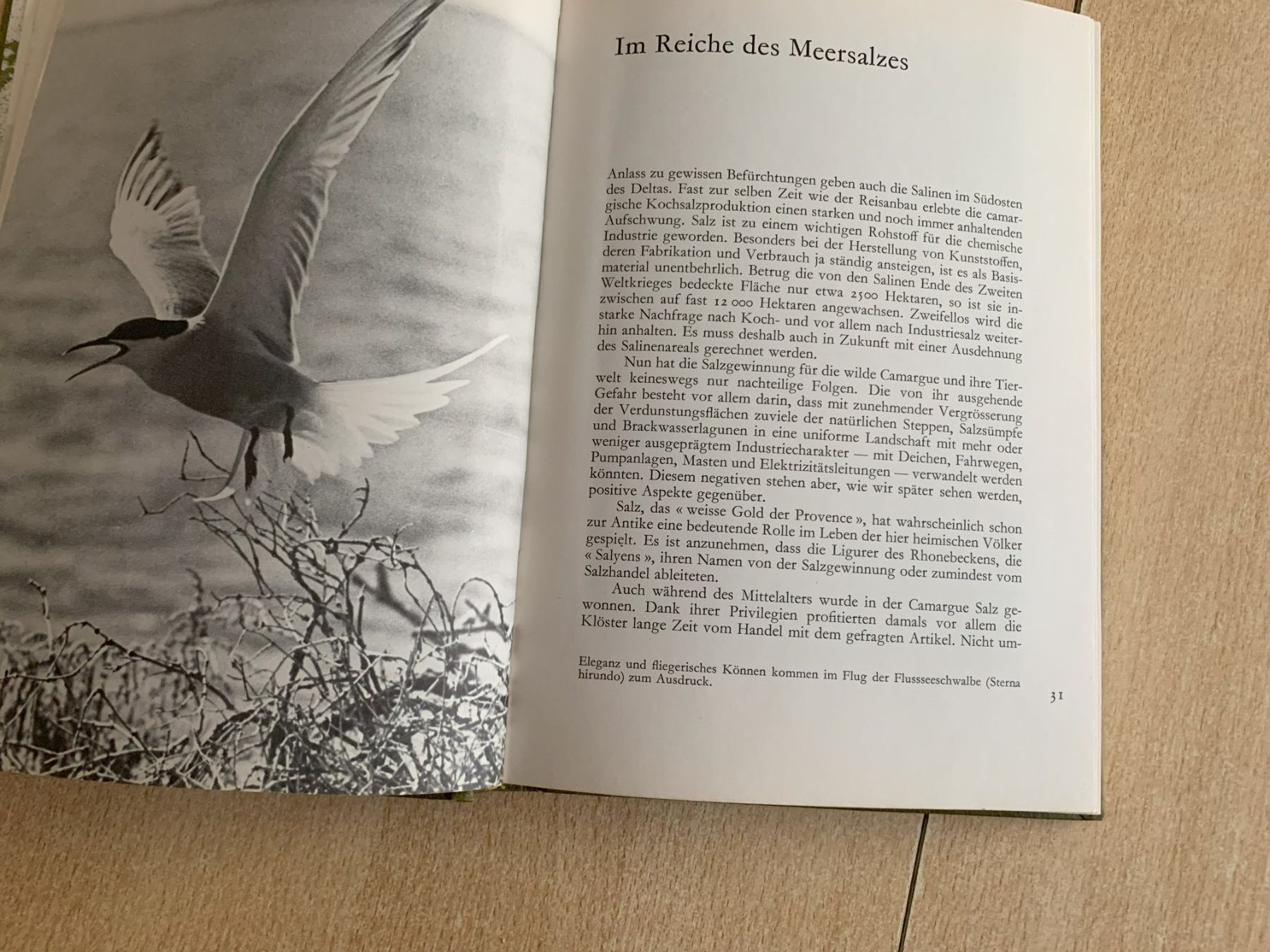 Livres: Camarque Avanti Verlag – D'occasion à Reinach BL par con_ync2 4