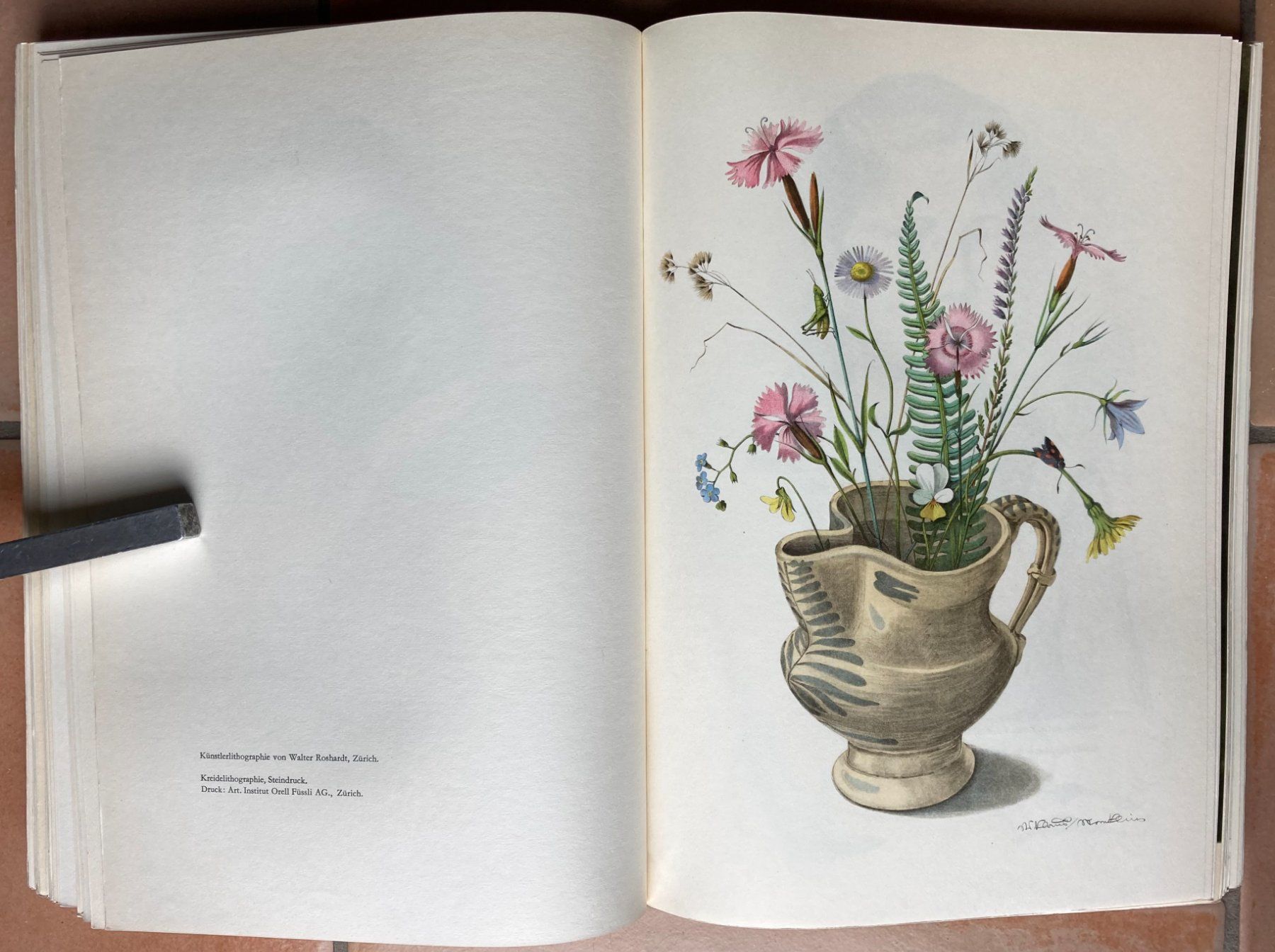 Libri: Die Lithographie in der Schweiz - 1894-1944 – Usato da Versoix venduto da HELVETICA_1 7