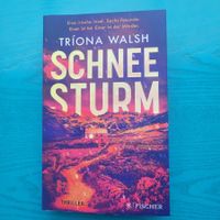 Triona Walsh - Schneesturm
