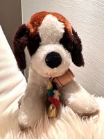 +  BeRnaRdiNeR  PLüsChhuNd  +