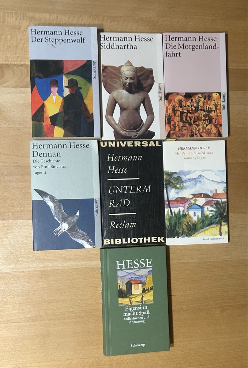 Libri: Herrmann Hesse Bücher – Usato da Winterthur venduto da Vince1800