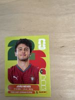 Panini FIFA World Cup WM 2026 / POR 14