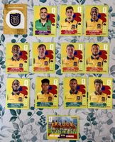 Panini WM 2026!!! Ecuador!!! 13 verschiedene Stickers!!!