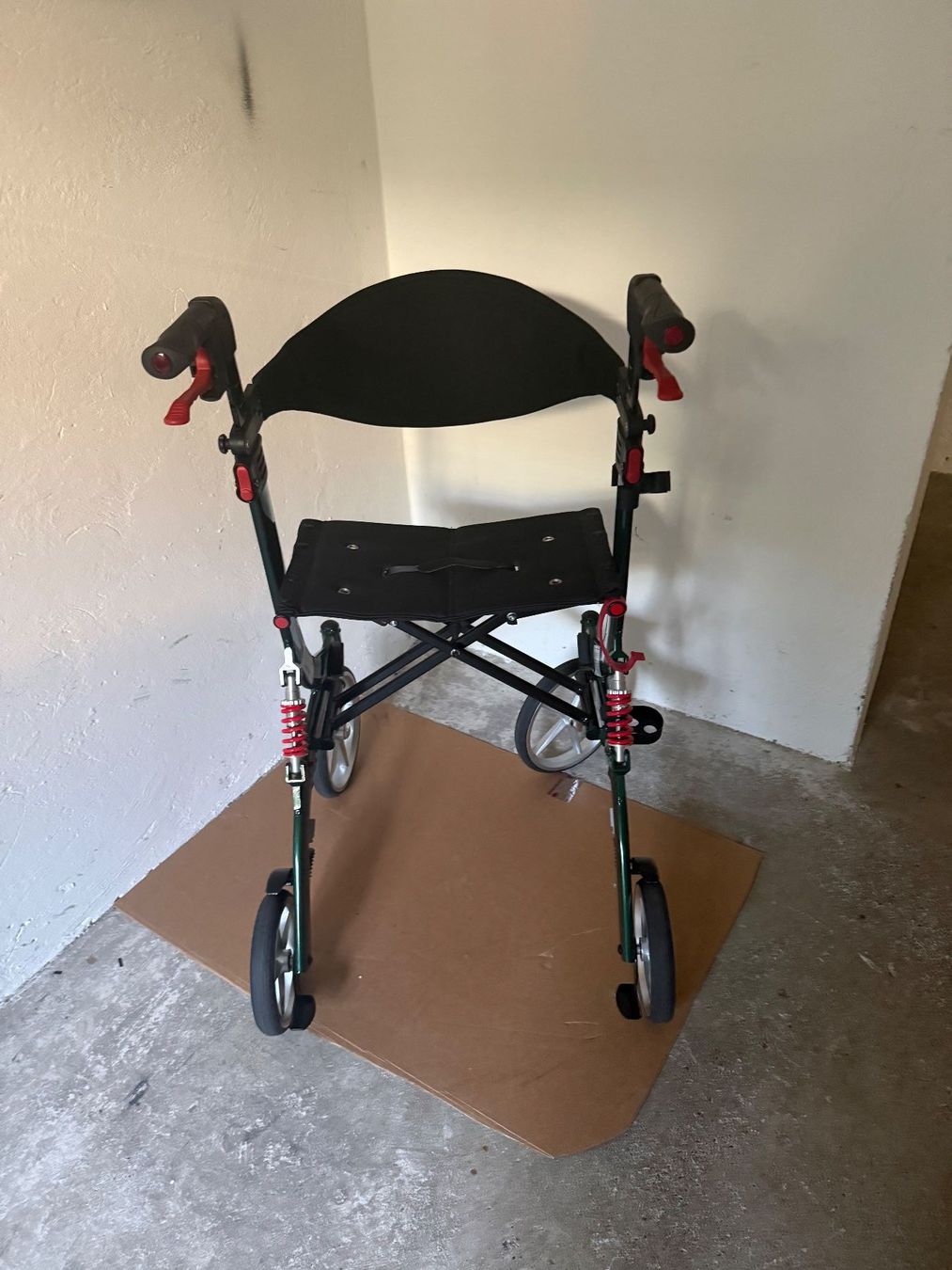 Ausili per la deambulazione: Rollator Spring L jadegrün – Usato da Zürich venduto da raf5rif 1