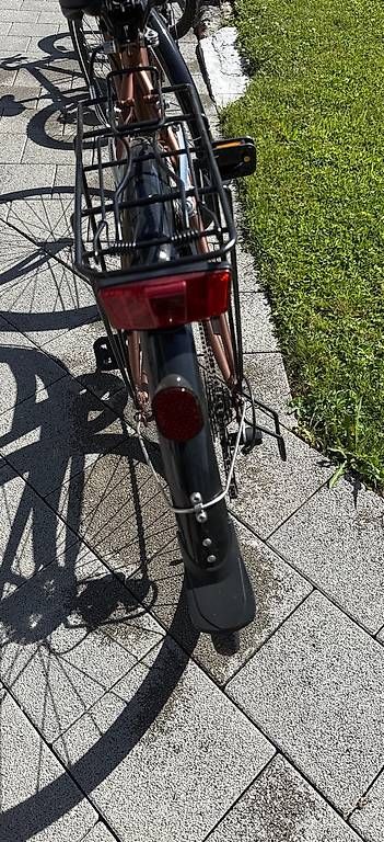 Biciclette: Damenvelo "Bronze" NEU  – Usato da Mühleberg venduto da baerbeli78 2