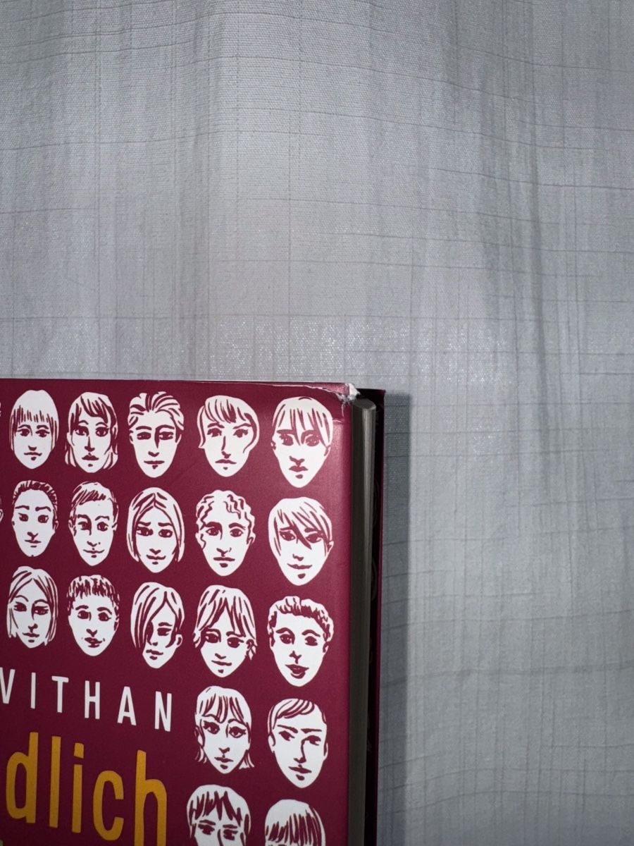 Libri: Letztendlich geht es nur um dich - David Levithan – Usato da Giffers venduto da sahla 1