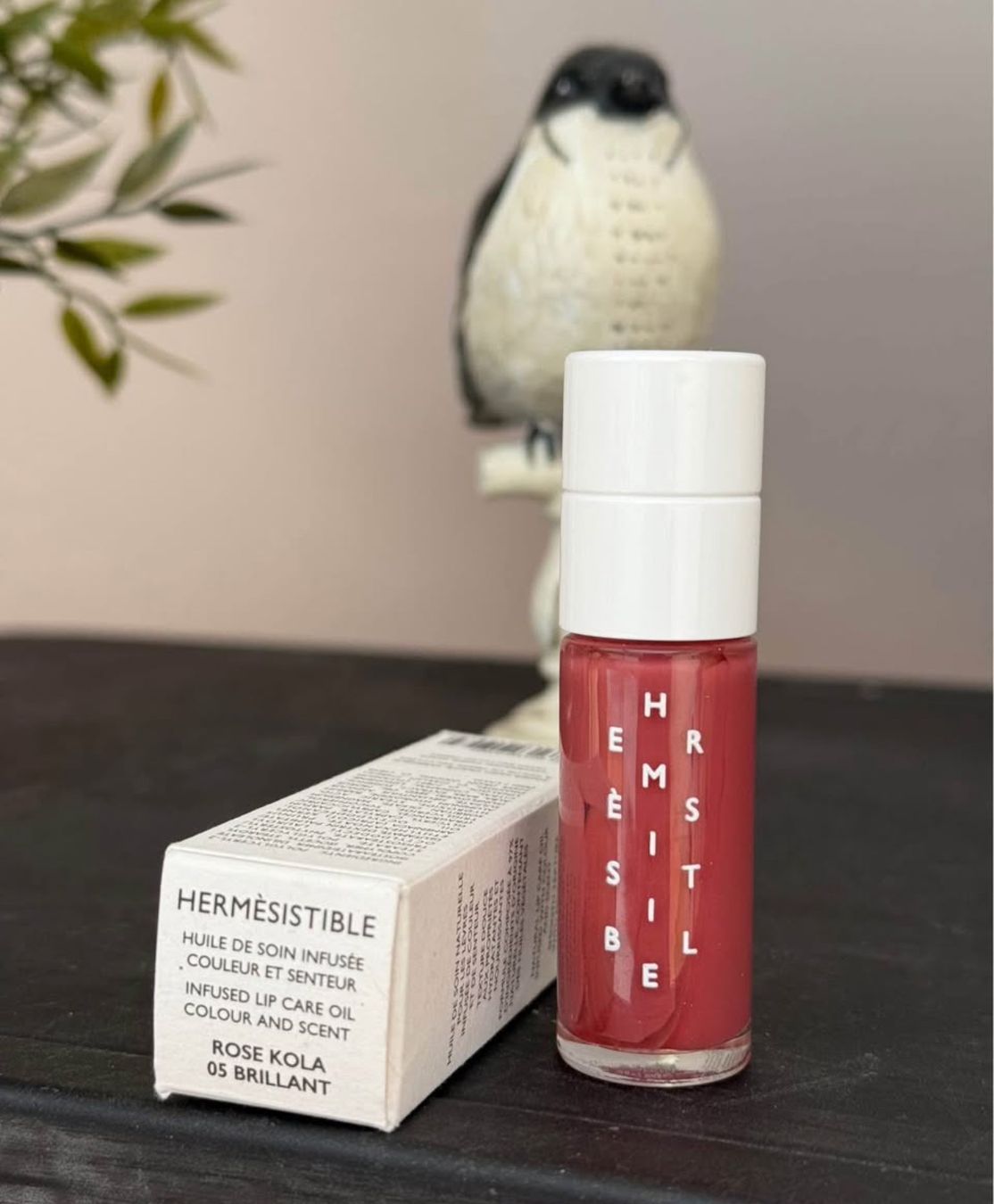 Make-up: Hermes brillant à lèvres – Neu (gemäss Beschreibung) aus Bussy-sur-Moudon von RSBlueEyes 1