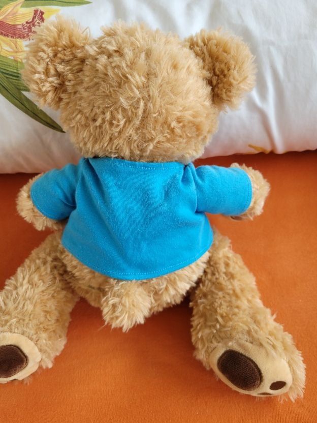 Spielzeuge: Original Omega Orbis Teddybär der Hilfsorganisation Orbis – Gebraucht aus Altdorf UR von Nordwing 3
