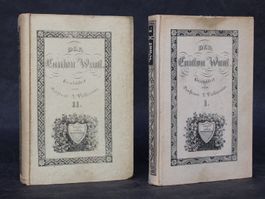 DER KANTON WAAT,2 BÄNDE,GEMÄLDE DER SCHWEIZ,1847,RAR