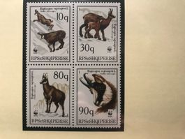 WWF Albanien 1990 Gemse Satz postfrisch 4er-Block