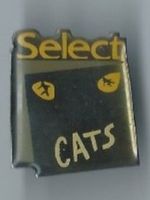 Cats Pin