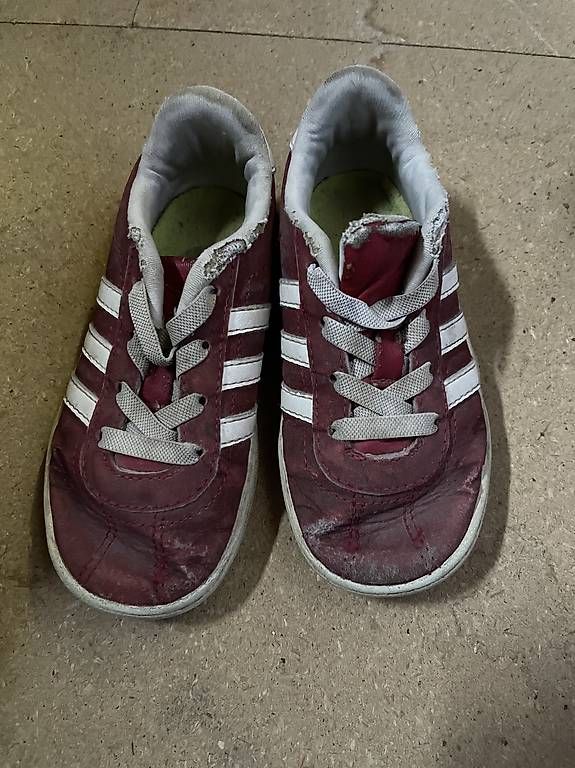 Schuhe für Jungen: Turnschuhe Gr. 24 – Gebraucht aus Zürich von kar_qn9r
