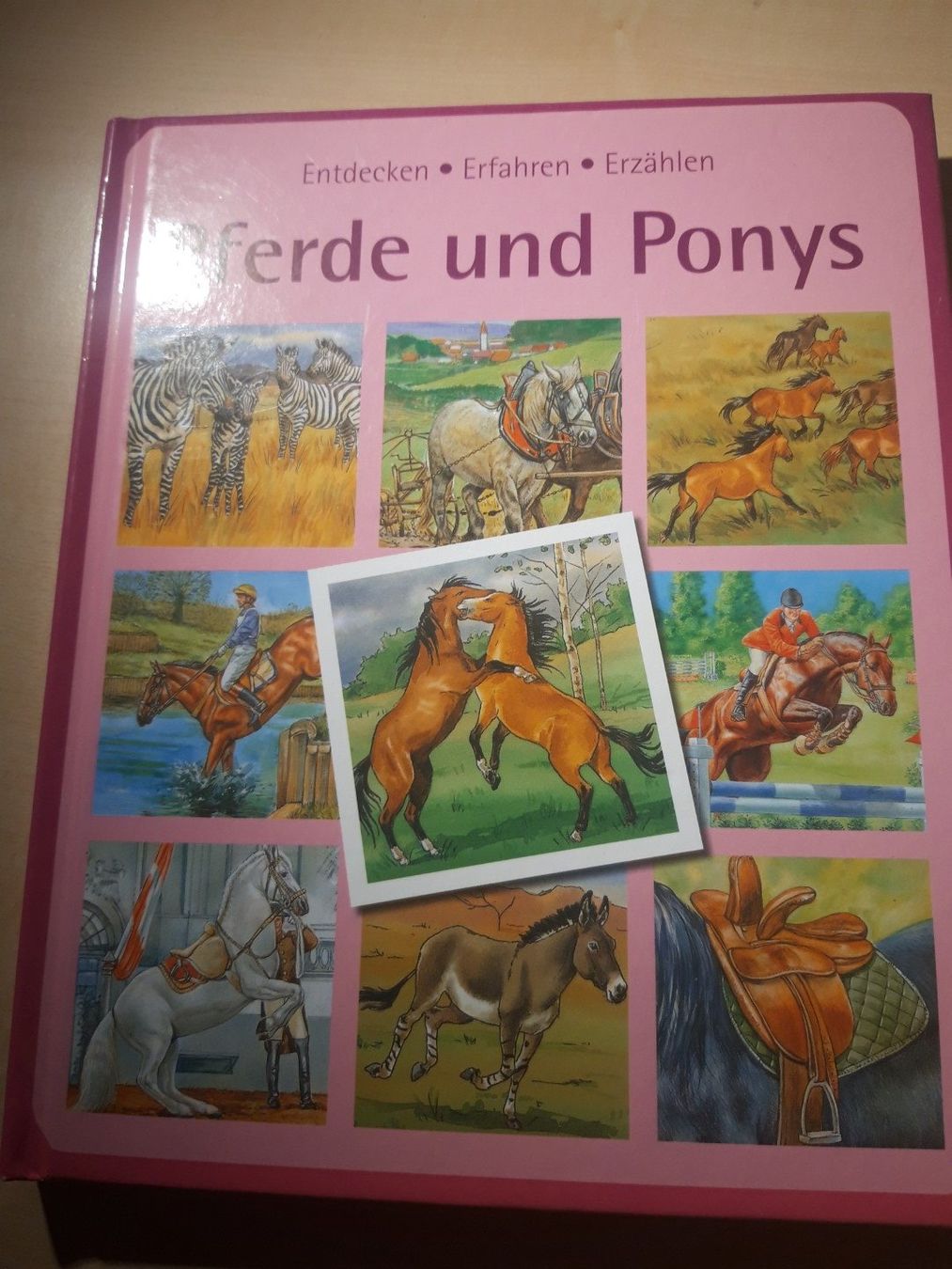 Libri: Pferde und Ponys – Usato da Egliswil venduto da Cracky81