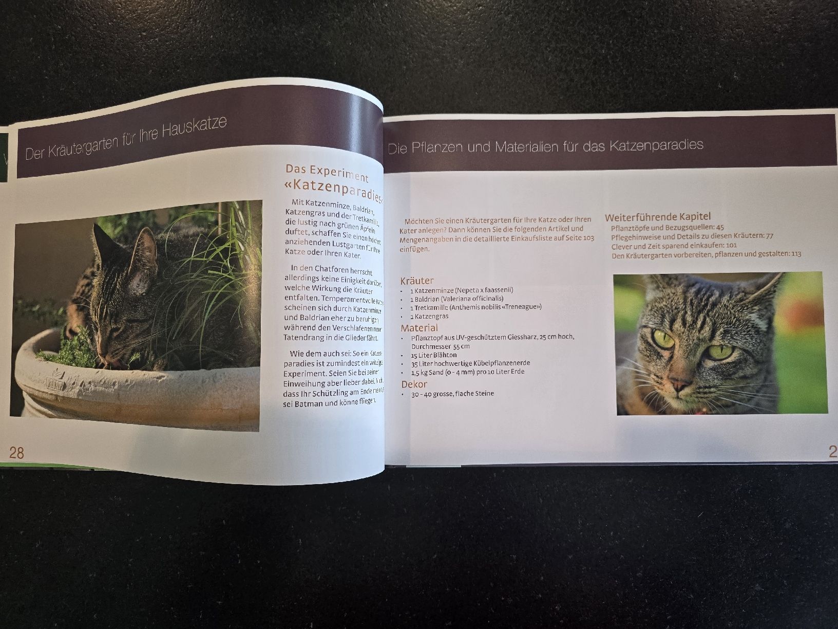 Libri: Kräutergarten Design (Herbarella alias Simone Quast) – Nuovo (secondo la descrizione) da St. Gallen venduto da charly92 6