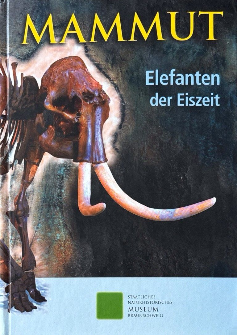 Libri: Mammut - Elefanten der Urzeit – Nuovo (secondo la descrizione) da Sarnen venduto da Livres