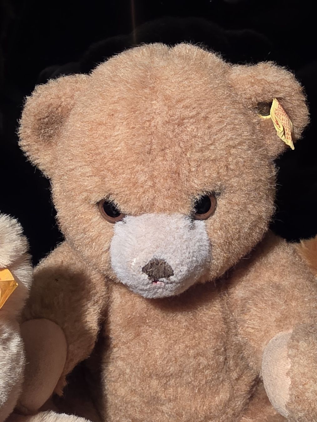 Steiff Giocattoli: 7 Steiff Bären Brüder suchen Zuhause  – Usato da Dintikon venduto da Dako1204 2