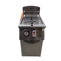 Friteuse I Fritteuse Standfritteuse 15FEC, 13 l