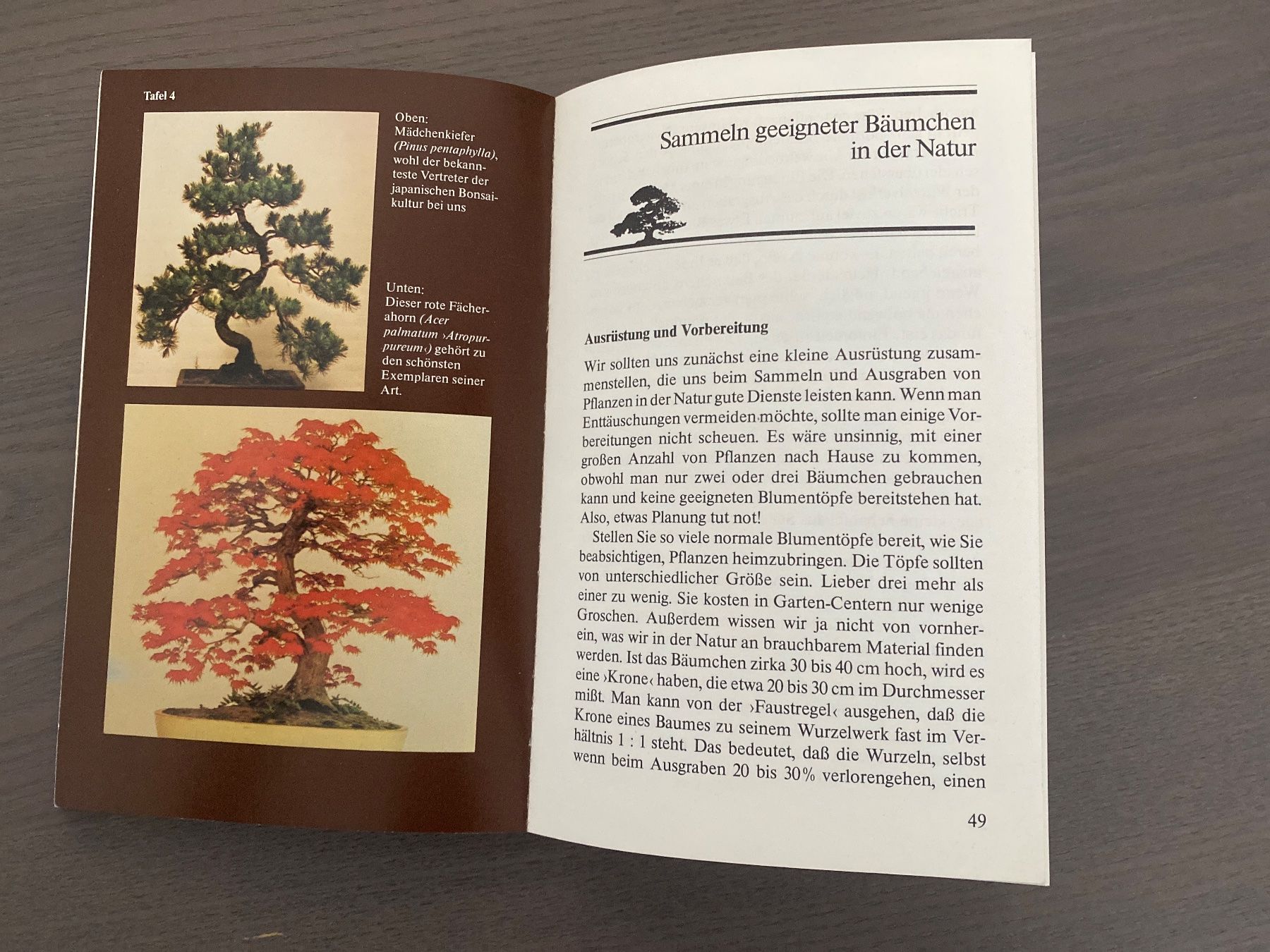 Livres: Buch "heimische Zwergbäume" – D'occasion à Reichenburg par Noxima 1