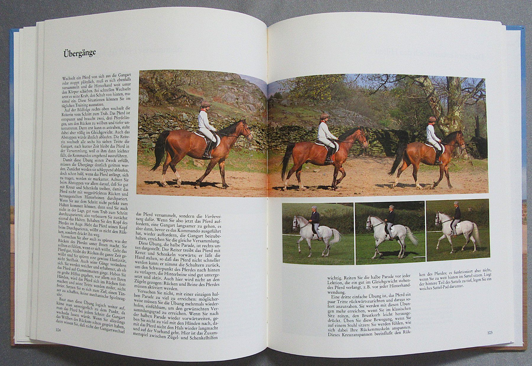 Libri: Reiten - perfekt gelernt - moderne Reitlehre – Usato da Auenstein venduto da Padabimbim 6