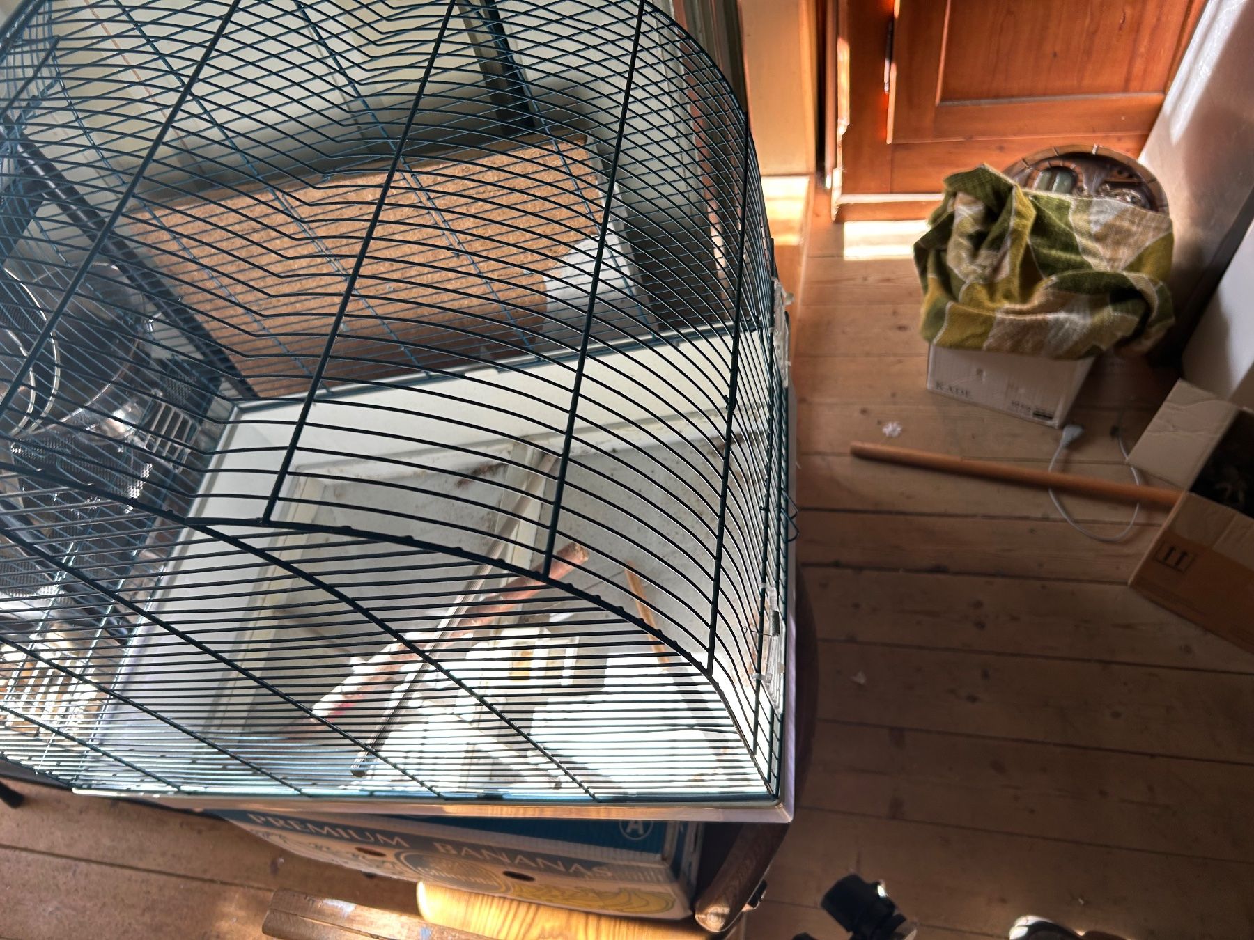 Cages, transport & sécurité: VOGELKÄFIG – D'occasion à Weissbad par Usw63 1