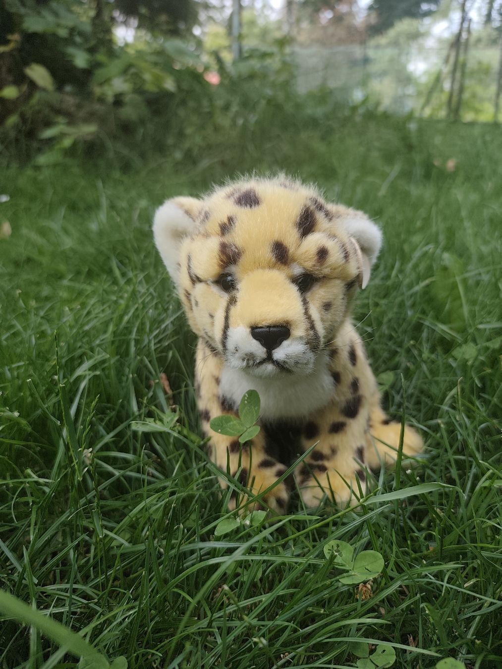 Spielzeuge: Baby Gepard Plüschtier – Gebraucht aus Wald ZH von Enyafay