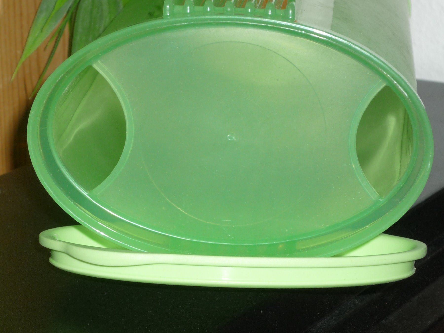 Tupperware Behälter & Ähnliches: TUPPERWARE X SPAGHETTI – Gebraucht aus St.Gallen von Anso 3