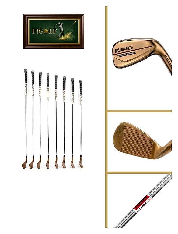 Schläger & Sets: Cobra King Forged Tec - Eisenset (3-9, PW) – Gebraucht aus Dänikon ZH von FiGo-lf