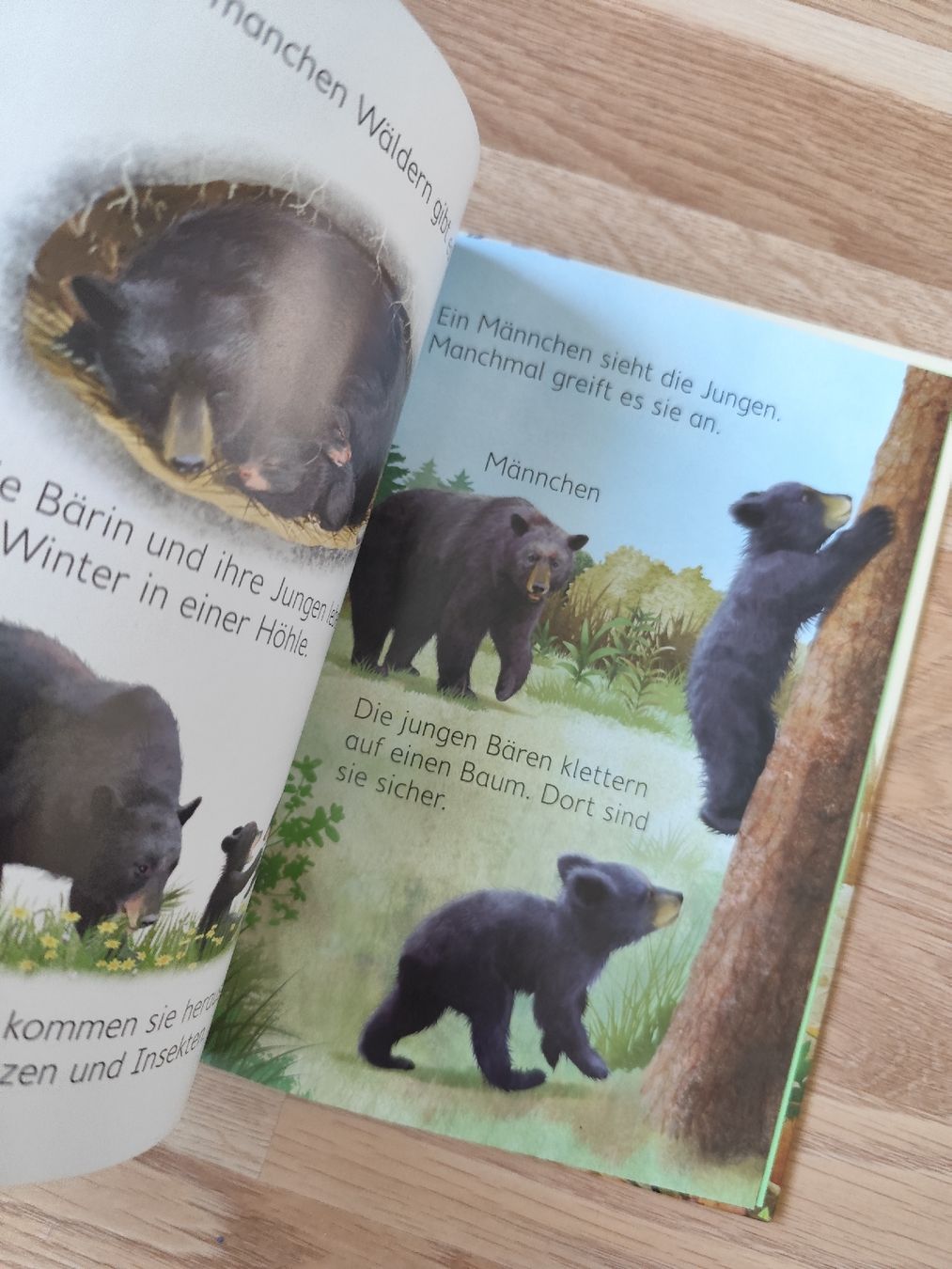 Livres: Waldtiere Usborne – D'occasion à Mägenwil par VintageGirly 1