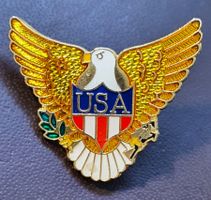 X288 - Pin Adler Flügel Taube USA Wappen