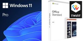 Microsoft Windows 11 Professional & Office 2019 Standard