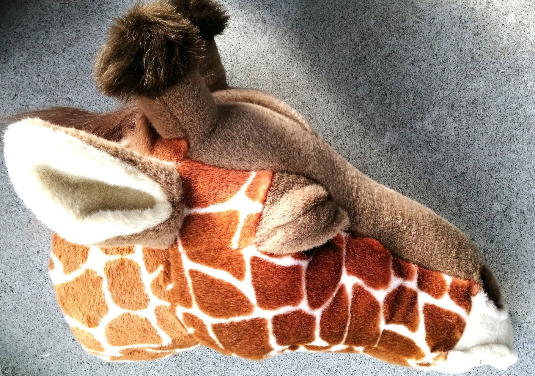 Tutte le decorazioni: Süssi Giraffe / Plüschtier - Wanddeko – Usato da Schaffhausen venduto da Domifran 1