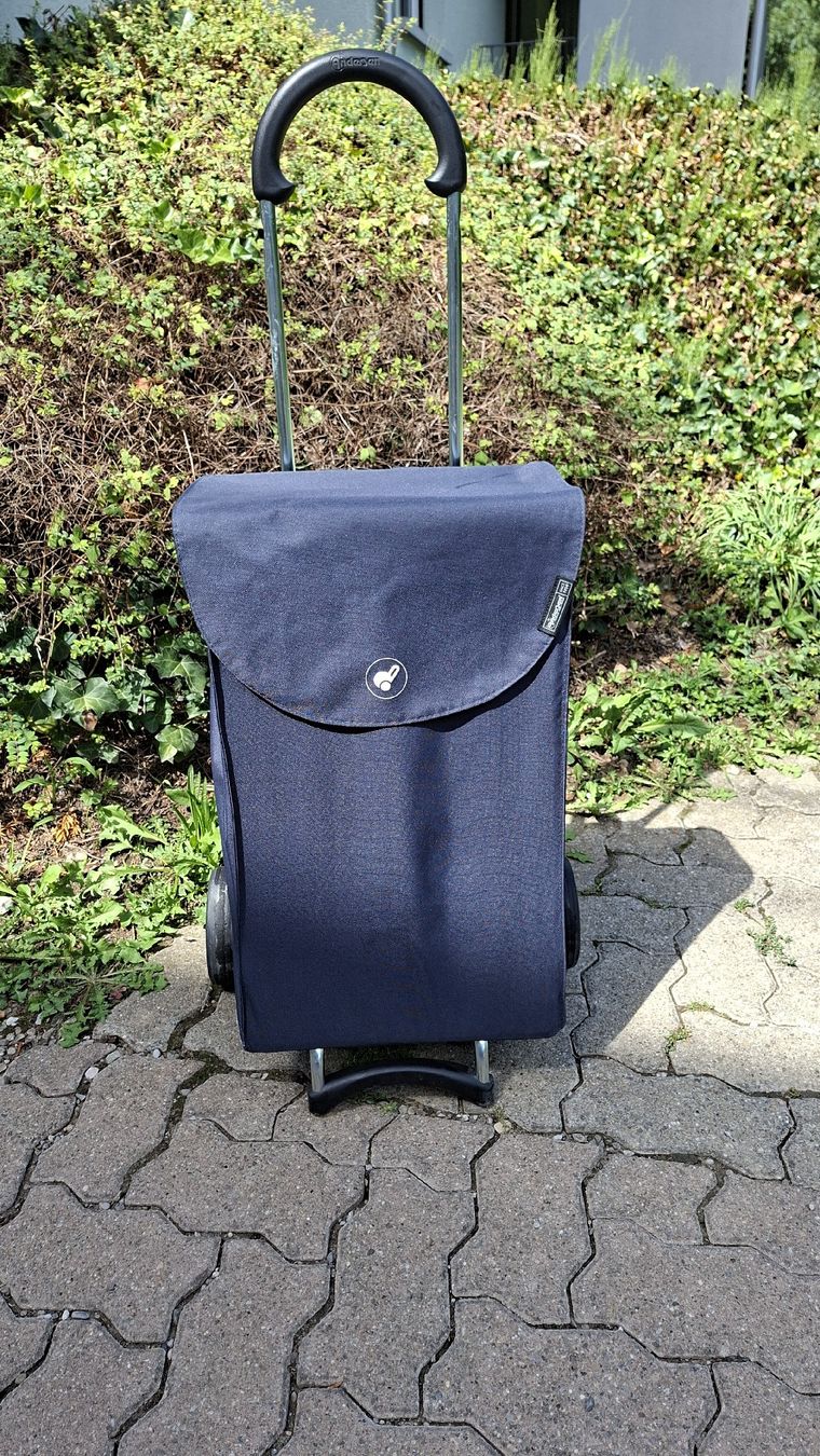 Altro per la casa: Einkaufstrolley ANDERSEN – Usato da Wallisellen venduto da man_vh9r 1