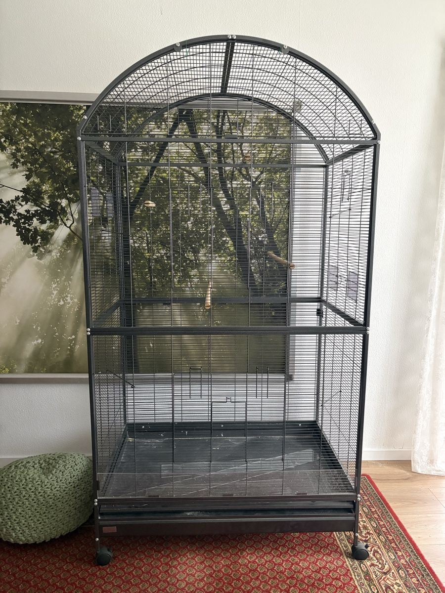 Cages, transport & sécurité: Vogel Voliere Darwin – D'occasion à Bischofszell par Mr.Sheep