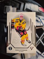Fabian Ritzmann SC Bern 2024/25 Sportzoo Playoffs