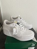 Basket Puma