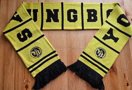 BSC Young Boys Bern Schal YB Fussball Schweiz