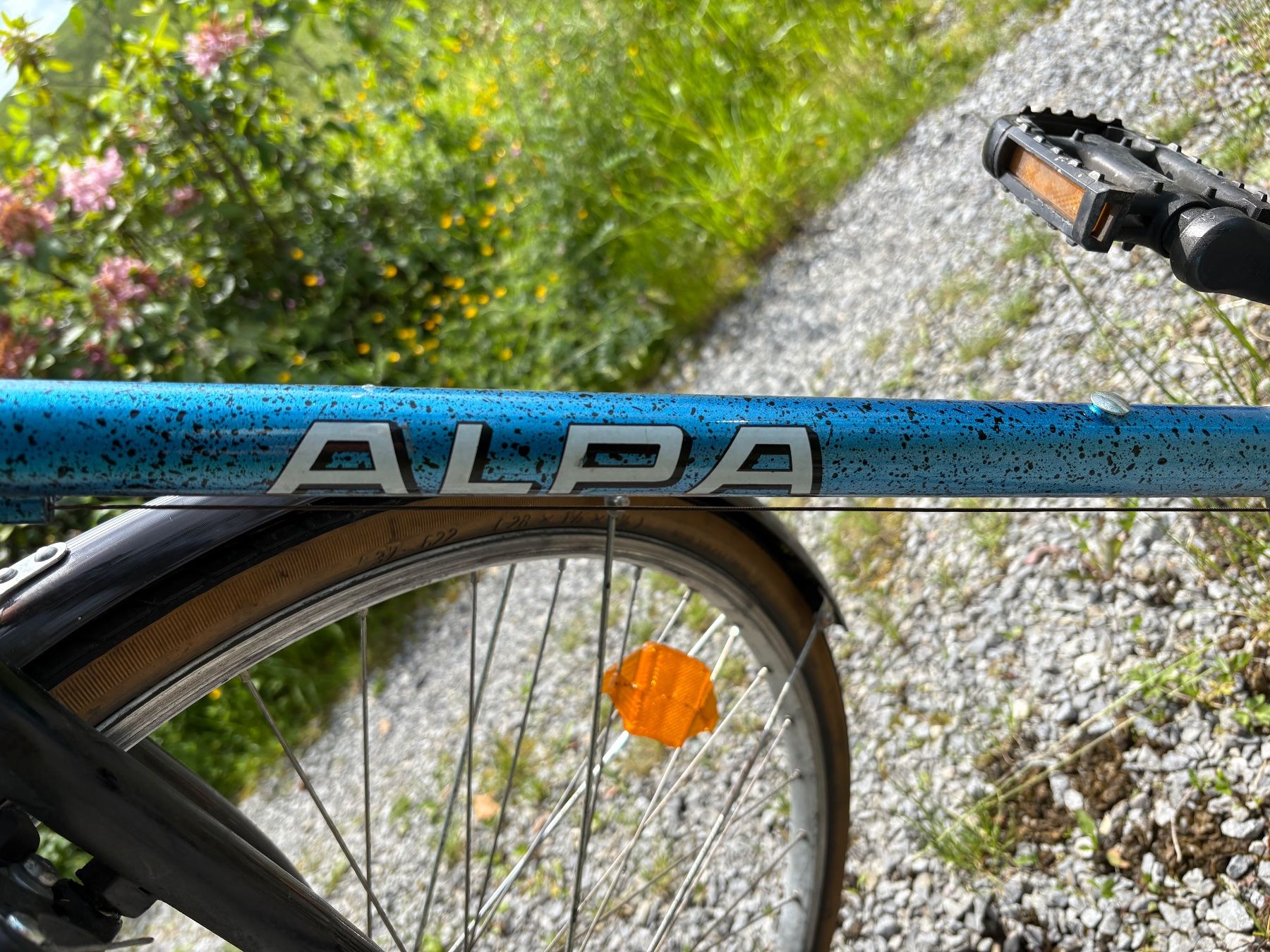 Velos: ALPA Herren-Velo - der Klassiker – Gebraucht aus Ebnat-Kappel von pourlemerite 4