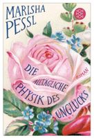 Die alltägliche Physik des Unglücks ROMAN