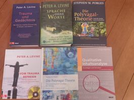 6 Fachbücher Psychologie Trauma Porges Levine Mayring Polyva