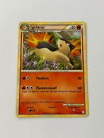 Pokemon-Karte Igelavar 49/123