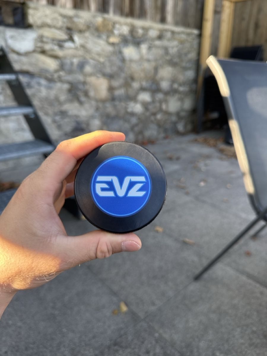 Palloni: EVZ Burgergking puck – Nuovo (secondo la descrizione) da Stans venduto da nic_twk7