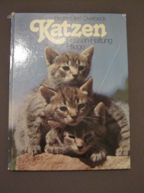 Bücher: Ratgeber Katzen – Gebraucht aus Steinhausen von ladisci
