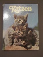 Ratgeber Katzen