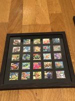 Pokemon Bild