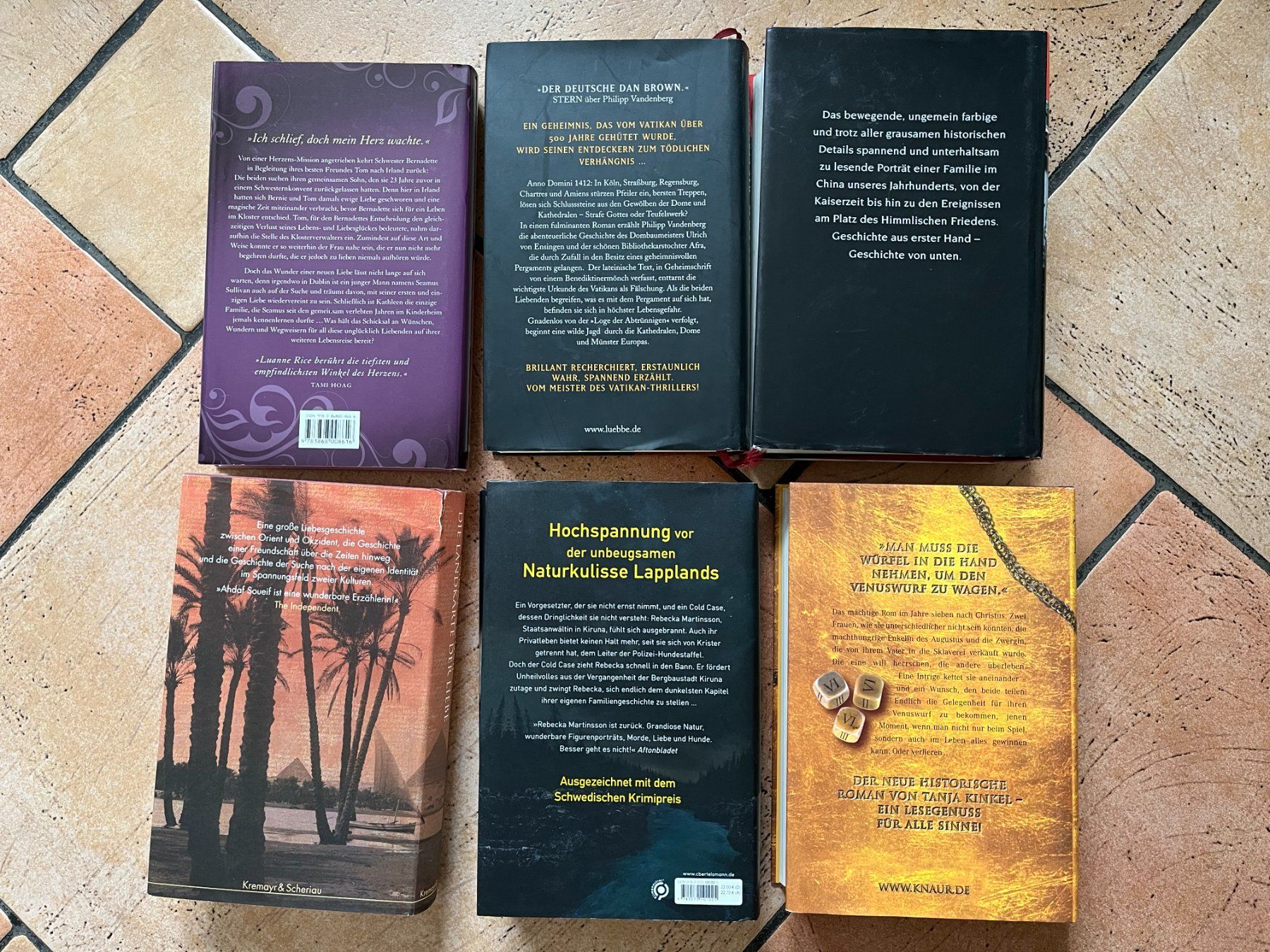 Libri: Verschiedene Romane und Krimis – Nuovo (secondo la descrizione) da Rekingen AG venduto da nederland1 1