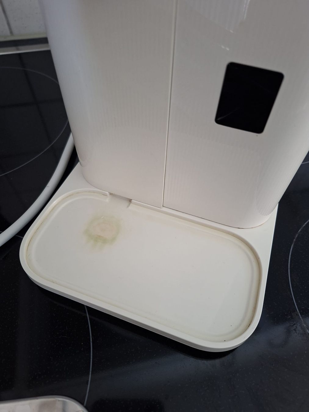 De'Longhi Macchine per caffè & Macchine per espresso: Nespresso De Longhi / Milchschäumer defekt – Usato da Schwyz venduto da cla_8w6t 4