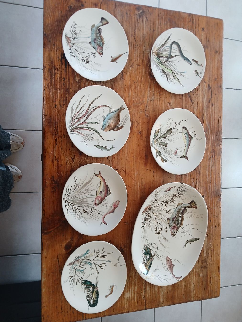Geschirrsets: Service de table Johnson Bros  vintage décor poissons – Gebraucht aus Corcelles-Payerne von evalyne